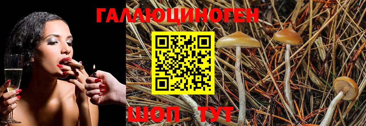 Галлюциногенные грибы Cubensis  Псилоцибиновые грибы Magic Shrooms  Вход с VPN  Кировск 